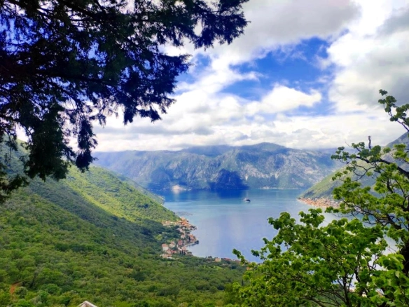 Kotor