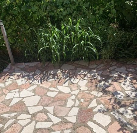 Izdavanje: Jednosoban stan 55 m² sa terasom od 20 m² – Šušanj, Bar