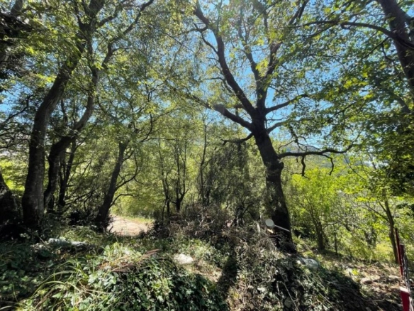 Kuća 63 m² sa placom od 314 m² u mirnom dijelu – Sutomore, Bar