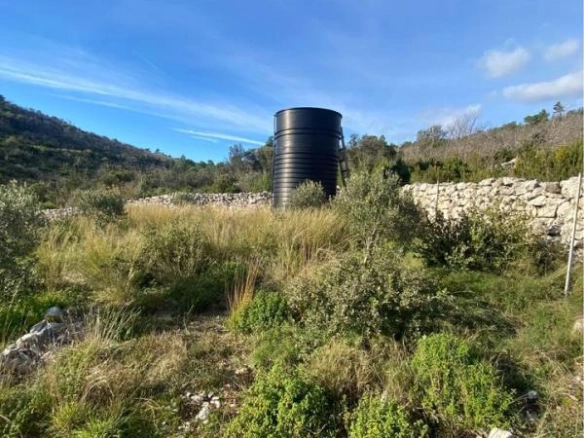 Plac 1,1 ha sa maslinama i sistemom za navodnjavanje – Luštica