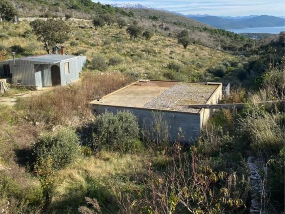 Plac 1,1 ha sa maslinama i sistemom za navodnjavanje – Luštica
