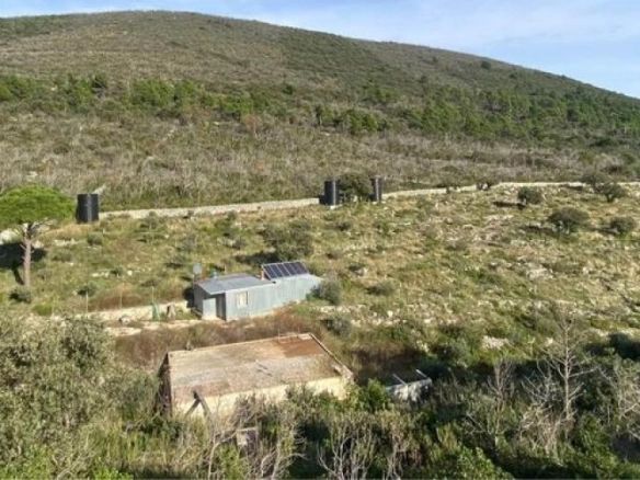 Plac 1,1 ha sa maslinama i sistemom za navodnjavanje – Luštica
