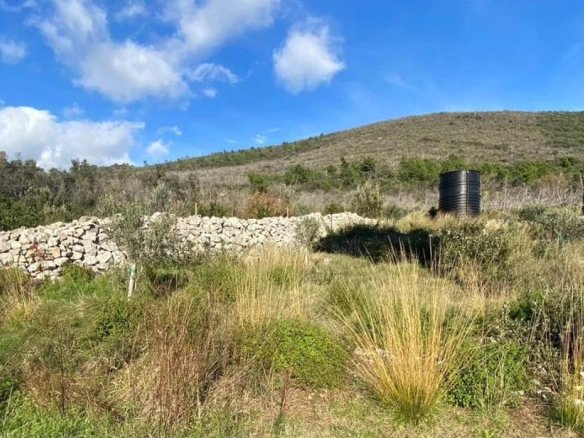 Plac 1,1 ha sa maslinama i sistemom za navodnjavanje – Luštica