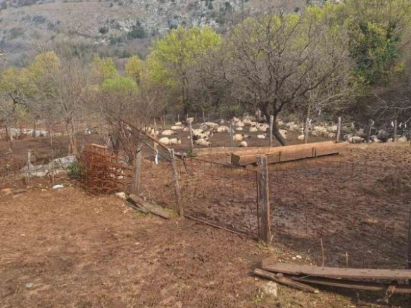 Dvije kuće na velikom placu od 4381 m² u mirnom kraju – Danilovgrad