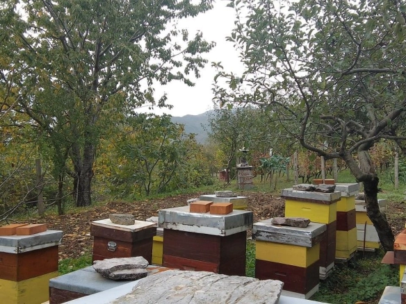Plac 669 m² urbanizovan, sa dozvolom za dvije nadzemne etaže – Mokrine, Herceg Novi