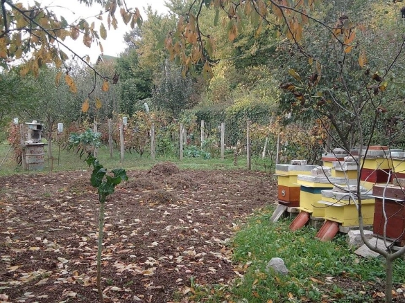 Plac 669 m² urbanizovan, sa dozvolom za dvije nadzemne etaže – Mokrine, Herceg Novi