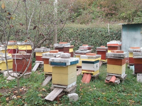 Plac 669 m² urbanizovan, sa dozvolom za dvije nadzemne etaže – Mokrine, Herceg Novi