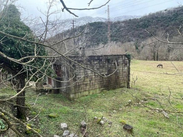 Danilovgrad