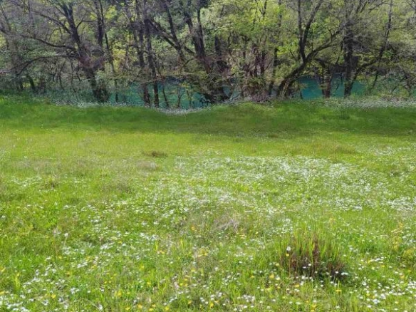 Kuća 77 m² na placu od 7000 m² uz rijeku Zetu – Weak, Danilovgrad
