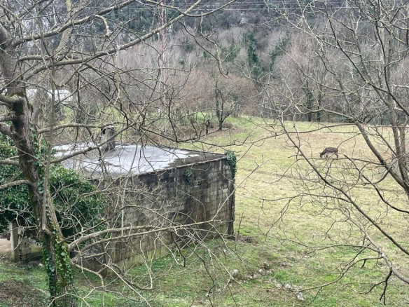 Kuća 77 m² na placu od 7000 m² uz rijeku Zetu – Weak, Danilovgrad