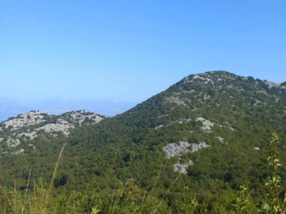 Plac 20000 m² sa pogledom na Skadarsko jezero – Marstijepovići, Bar