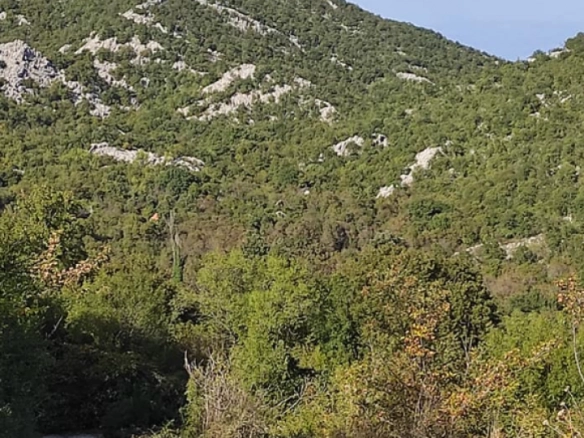 Plac 20000 m² sa pogledom na Skadarsko jezero – Marstijepovići, Bar