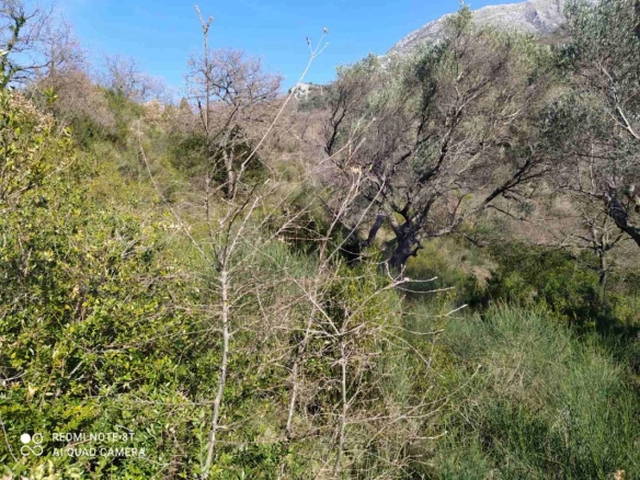Plac 812 m² sa dva pristupa i strujom pored placa – Bar