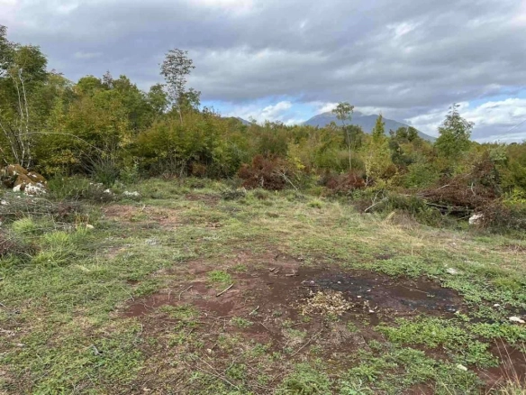 Plac 19808 m² uz put, struju i vodu – Bandići, Danilovgrad