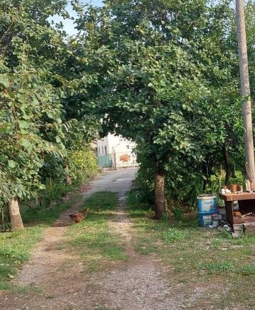 Kuća 500 m² na placu od 3000 m² sa voćnjakom – Bar