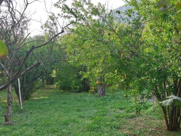 Kuća 500 m² na placu od 3000 m² sa voćnjakom – Bar
