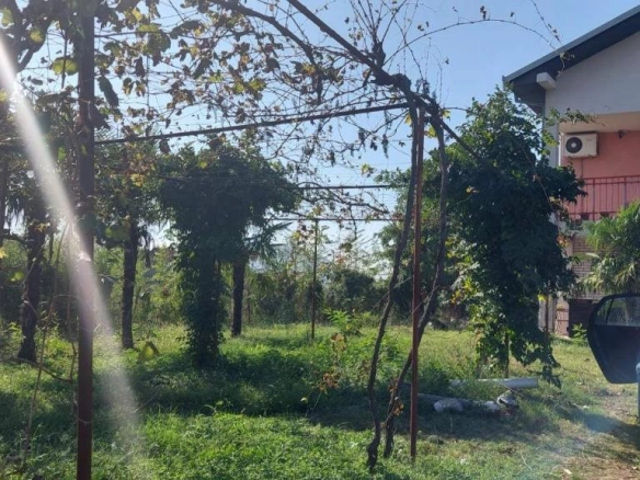 Kuća 200 m² na placu od 3600 m² sa voćnjakom – Golubovci, Podgorica