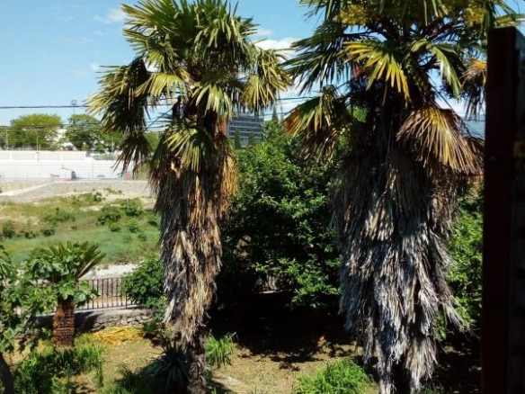 Dvije kuće 550 m² na placu od 1385 m² uz Moraču – Podgorica