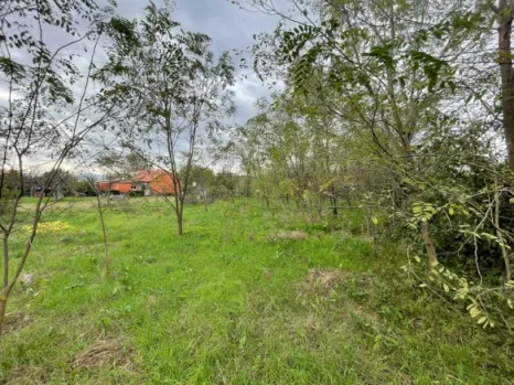 Kuća 220 m² na placu od 7000 m² sa voćnjakom – Golubovci, Podgorica