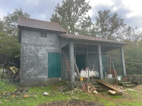 Kuća 120 m² na placu od 3887 m² sa pomoćnim objektima – Novo Selo, Danilovgrad