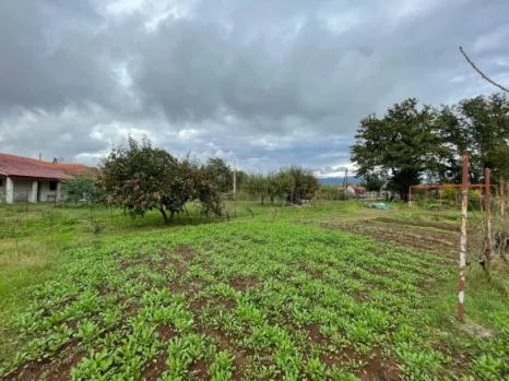 Kuća 120 m² na placu od 3887 m² sa pomoćnim objektima – Novo Selo, Danilovgrad