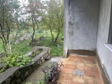 Kuća 120 m² na placu od 3887 m² sa pomoćnim objektima – Novo Selo, Danilovgrad