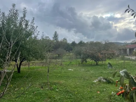Kuća 120 m² na placu od 3887 m² sa pomoćnim objektima – Novo Selo, Danilovgrad