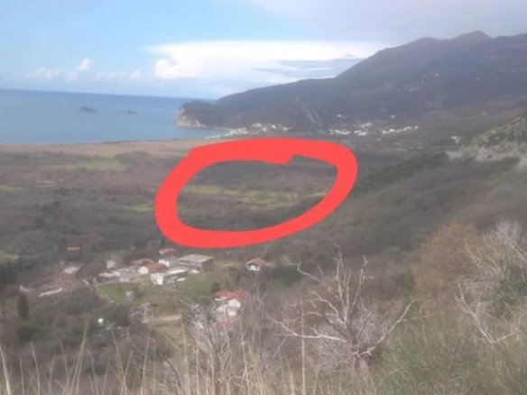 Plac 518 m² ravnog terena sa maslinama – Buljarica, Budva