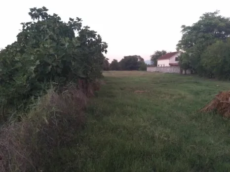 Kuća 150 m² na placu od 5156 m² sa dva pomoćna objekta – Golubovci, Podgorica