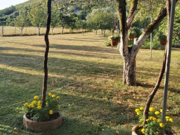 Kuća 120 m² na placu od 2154 m², legalizovana – Danilovgrad