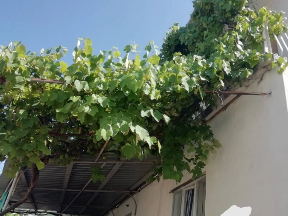 Kuća 160 m² sa devet soba na placu od 186 m² – Sutomore, Bar