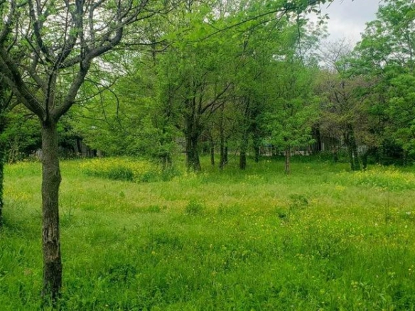 Plac 749 m² na ravnom terenu, 200 m od mora – Petrovac, Budva