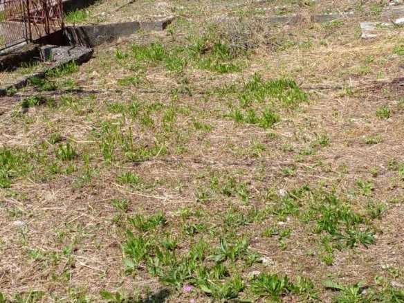 Plac 1550 m² sa upisanim objektom od 120 m² – Zaljevo, Bar