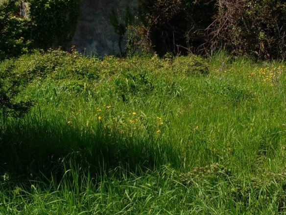 Plac 1550 m² sa upisanim objektom od 120 m² – Zaljevo, Bar