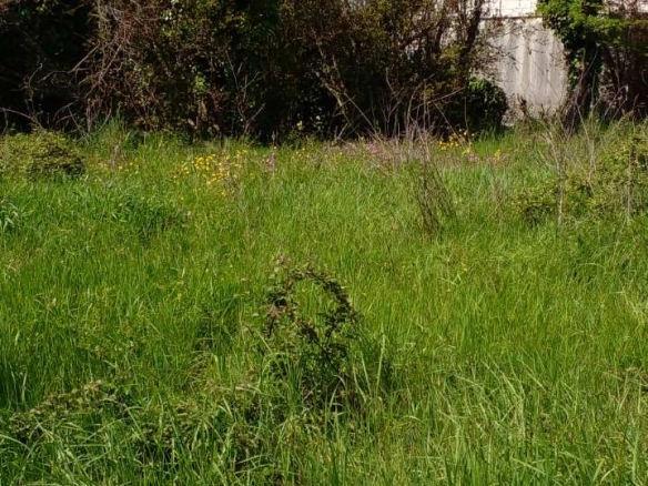 Plac 1550 m² sa upisanim objektom od 120 m² – Zaljevo, Bar