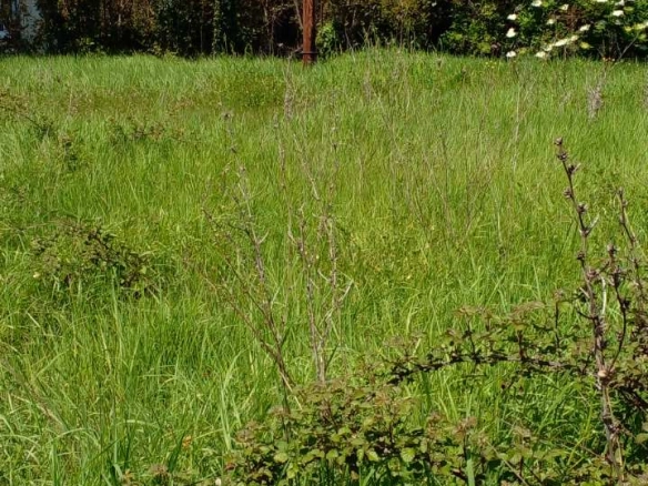 Plac 1550 m² sa upisanim objektom od 120 m² – Zaljevo, Bar
