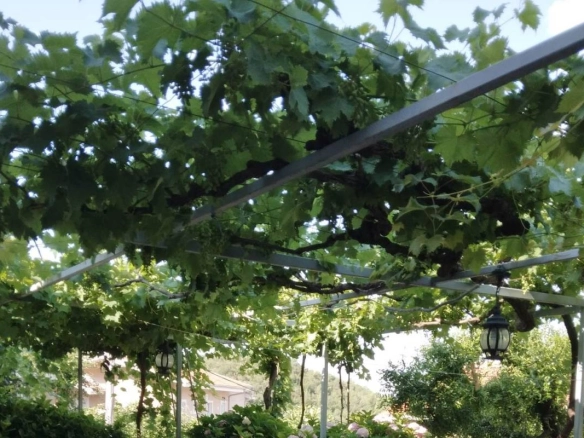Izdavanje: Kamena kuća 120 m² sa pogledom na more – Pržno, Budva