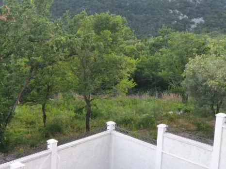 Budva