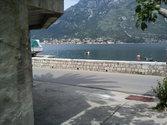 Kotor