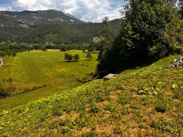 Plac 2500 m² sa pogledom na rijeku Taru i planine – Mojkovac