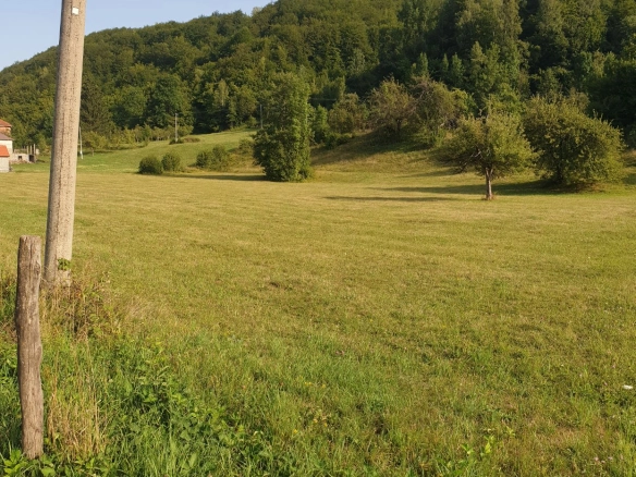 Plac 35000 m² za izgradnju dvije kuće sa građevinskom dozvolom – Mojkovac