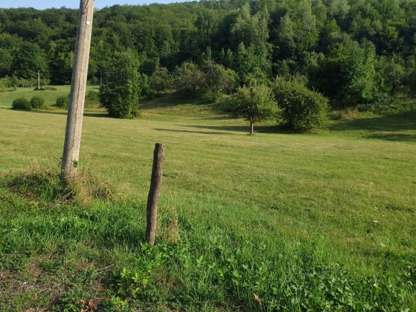 Plac 35000 m² za izgradnju dvije kuće sa građevinskom dozvolom – Mojkovac