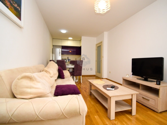 Jednosoban namješten stan 45 m², Zagorič – Podgorica