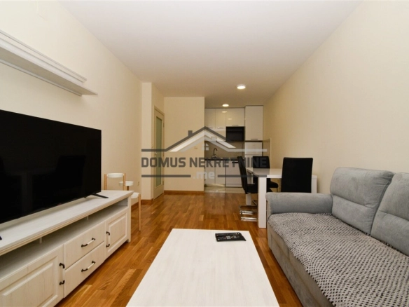 Jednosoban namješten stan 44 m², Zagorič – Podgorica