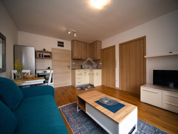 Jednosoban namješten stan 35 m², Centar – Podgorica