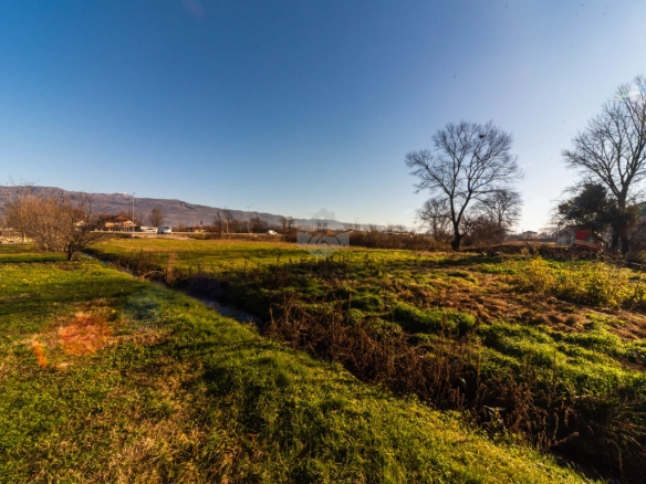 Plac 3.700 m² za industriju i proizvodnju – Danilovgrad