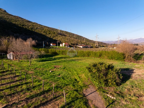 Beri – Podgorica