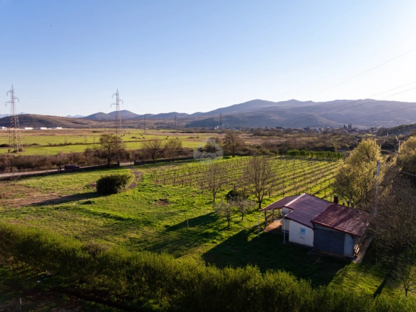 Imanje 13.000 m² sa vinogradom, Beri – Podgorica