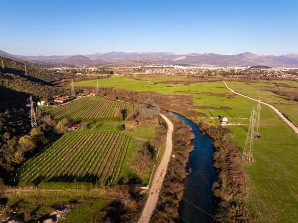 Imanje 13.000 m² sa vinogradom, Beri – Podgorica