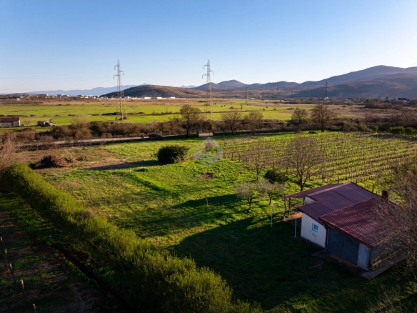 Imanje 13.000 m² sa vinogradom, Beri – Podgorica